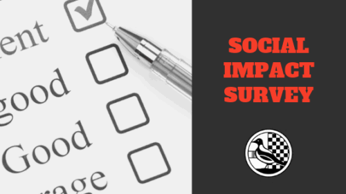 Social Impact Survey