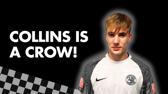 COLLINS IS A CROW!